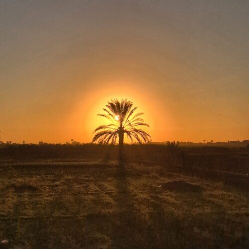 Siwa reis